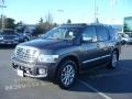 Silver Graphite Gray - QX 56 4WD Photo No. 3