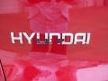 2011 Hyundai Tucson Limited Badge and Logo Photo