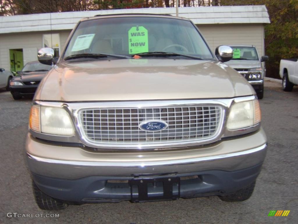 1999 Expedition Eddie Bauer 4x4 - Harvest Gold Metallic / Medium Prairie Tan photo #2