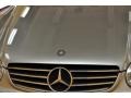 Pewter Metallic - CLK 500 Cabriolet Photo No. 22