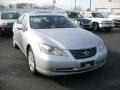 Tungsten Silver Metallic - ES 350 Photo No. 1