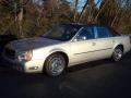 Light Platinum - DeVille Sedan Photo No. 4