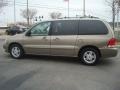 2004 Arizona Beige Metallic Ford Freestar SEL  photo #7