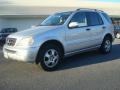 Brilliant Silver Metallic - ML 320 4Matic Photo No. 2