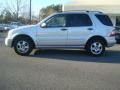 Brilliant Silver Metallic - ML 320 4Matic Photo No. 3