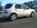 Brilliant Silver Metallic - ML 320 4Matic Photo No. 4