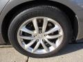 Platinum Graphite - G 37 x Sedan Photo No. 8