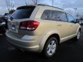 White Gold Metallic - Journey Express Photo No. 3