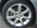 Precision Gray Metallic - Maxima 3.5 SE Photo No. 27
