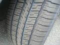 Precision Gray Metallic - Maxima 3.5 SE Photo No. 28