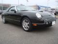 Evening Black 2004 Ford Thunderbird Premium Roadster