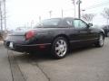 Evening Black 2004 Ford Thunderbird Premium Roadster Exterior