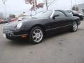 Evening Black 2004 Ford Thunderbird Premium Roadster Exterior