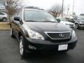 Black Onyx - RX 350 AWD Photo No. 1