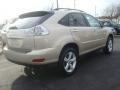 Savannah Metallic - RX 350 AWD Photo No. 6