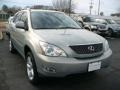 Bamboo Green Pearl - RX 350 AWD Photo No. 1