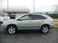 Bamboo Green Pearl - RX 350 AWD Photo No. 2