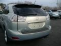 Bamboo Green Pearl - RX 350 AWD Photo No. 3