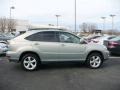 Bamboo Green Pearl - RX 350 AWD Photo No. 4