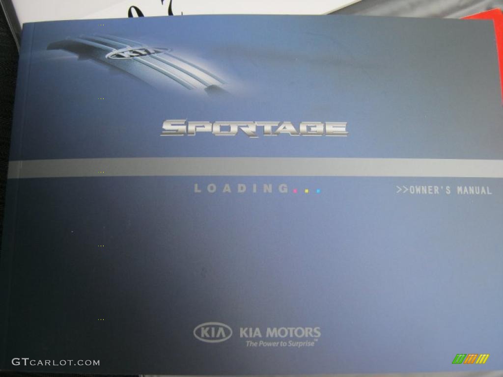 2010 Sportage LX V6 4x4 - Steel Silver / Black photo #17