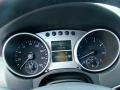 Black Gauges Photo for 2008 Mercedes-Benz ML #44725252