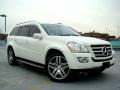 2008 Arctic White Mercedes-Benz GL 550 4Matic  photo #9