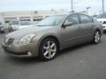 Spirited Bronze Pearl - Maxima 3.5 SE Photo No. 7