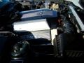 1995 BMW 5 Series 4.0 Liter DOHC 32-Valve V8 Engine Photo