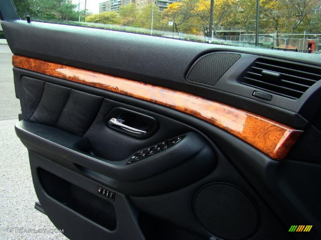 2002 BMW 5 Series 530i Sedan Black Door Panel Photo #44733637
