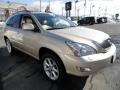 Savannah Metallic - RX 350 AWD Photo No. 7