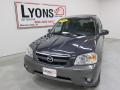 2006 Storm Front Gray Metallic Mazda Tribute s  photo #28