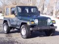 2001 Forest Green Jeep Wrangler SE 4x4  photo #2