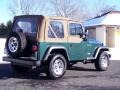 2001 Forest Green Jeep Wrangler SE 4x4  photo #6