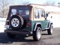 2001 Forest Green Jeep Wrangler SE 4x4  photo #7