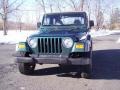 2001 Forest Green Jeep Wrangler SE 4x4  photo #9