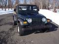 2001 Forest Green Jeep Wrangler SE 4x4  photo #10