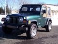 2001 Forest Green Jeep Wrangler SE 4x4  photo #12