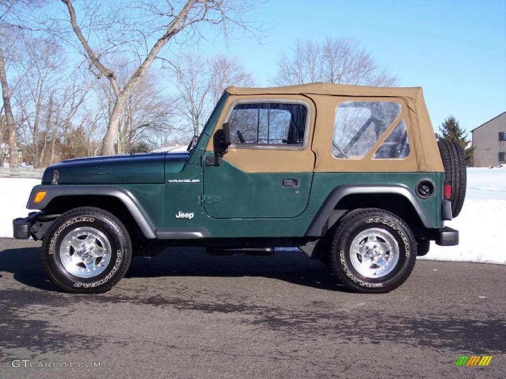 2001 Wrangler SE 4x4 - Forest Green / Camel photo #14