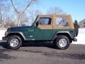 2001 Forest Green Jeep Wrangler SE 4x4  photo #14