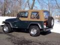 2001 Forest Green Jeep Wrangler SE 4x4  photo #15