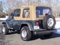 2001 Forest Green Jeep Wrangler SE 4x4  photo #16