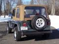 2001 Forest Green Jeep Wrangler SE 4x4  photo #17