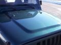 2001 Forest Green Jeep Wrangler SE 4x4  photo #20
