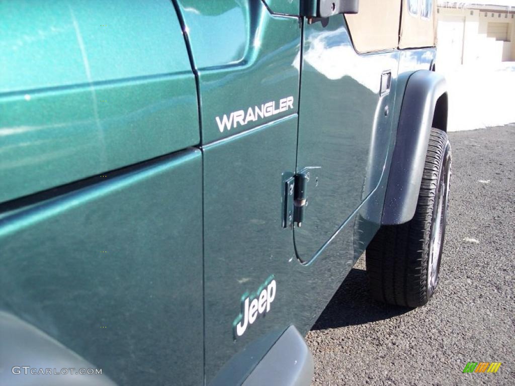 2001 Wrangler SE 4x4 - Forest Green / Camel photo #22