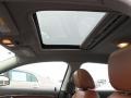 Morocco Brown Sunroof Photo for 2007 Saturn Aura #44750327
