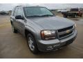 2009 Graystone Metallic Chevrolet TrailBlazer LT  photo #7