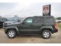 2010 Natural Green Pearl Jeep Liberty Sport  photo #2