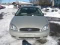 Gold Ash Metallic - Taurus SEL Photo No. 11