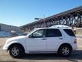 Polar White - ML 320 4Matic Photo No. 2
