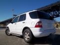 Polar White - ML 320 4Matic Photo No. 5